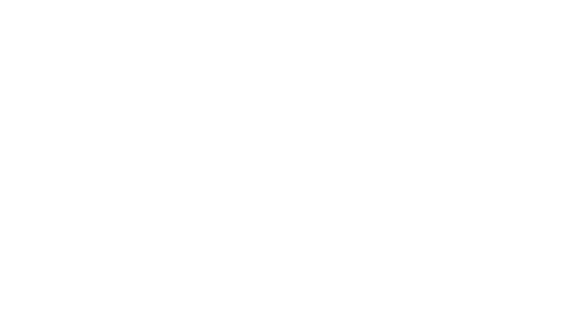 A2P Consult